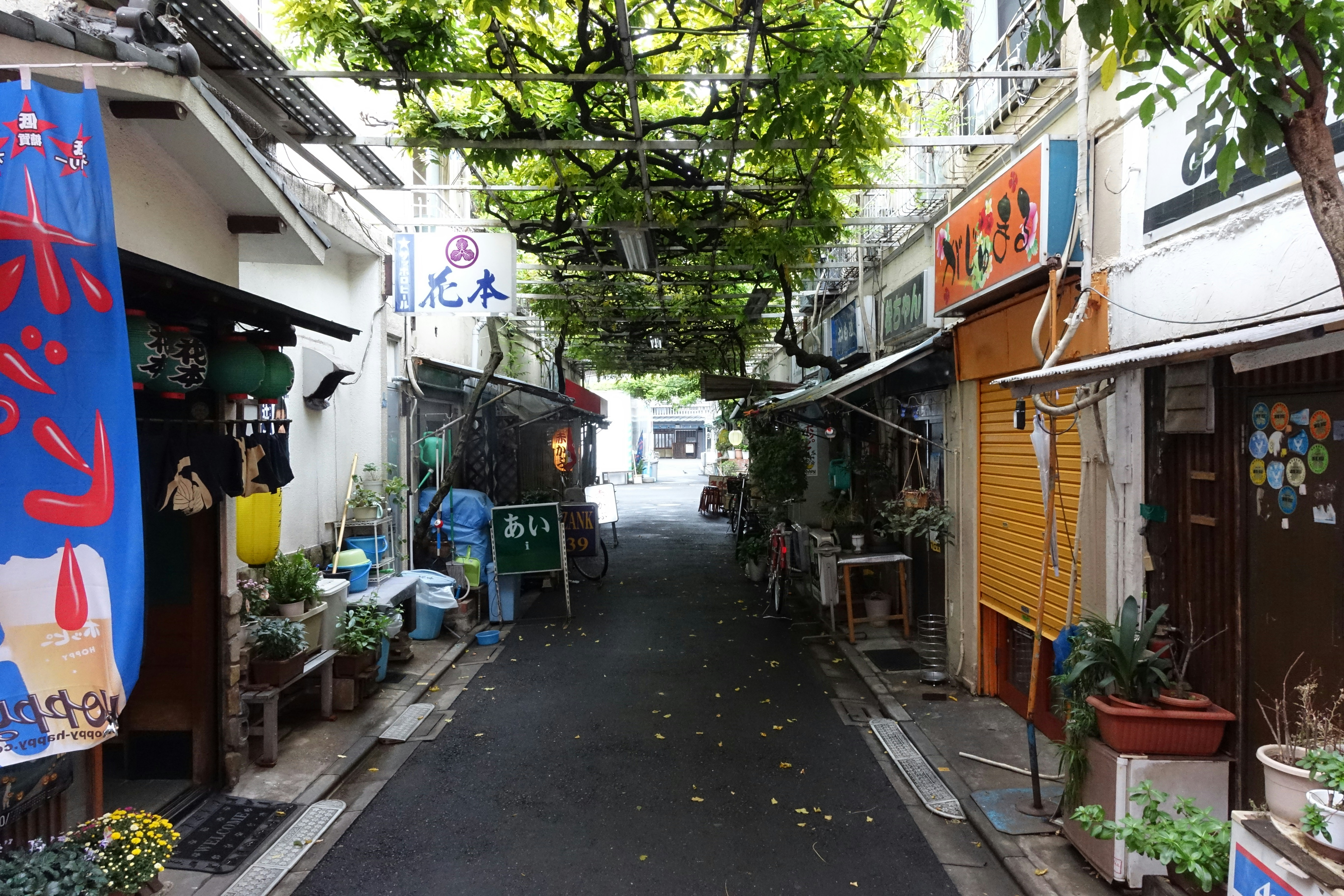 客室と庭園